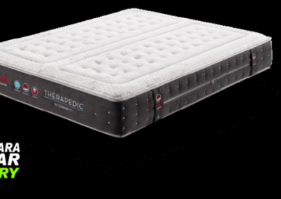 therapedic2